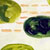 Code Green